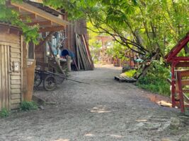 Kinder- und Jugendfarm