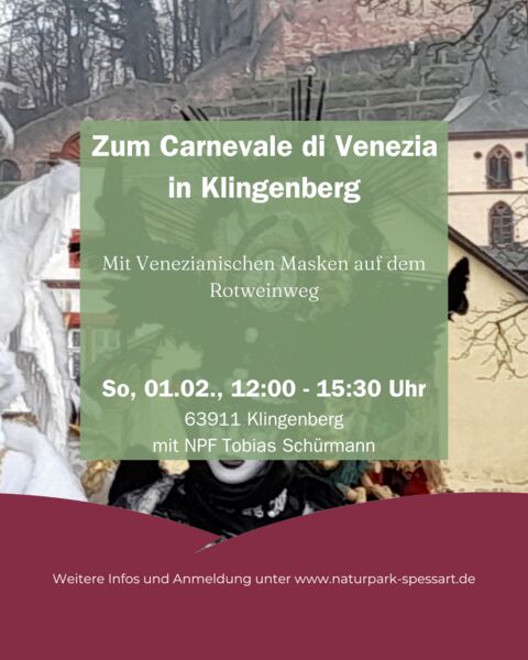 zum-carnevale-di-venezia-in-klingeberg