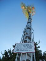 Maibaum in Kitzingen