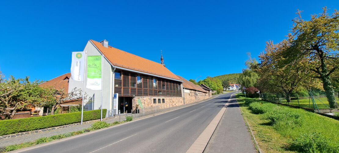die-rhoner-flimmerkiste