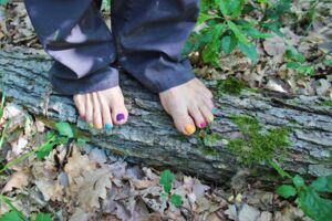 Barfußwanderung auf dem Schwanberg