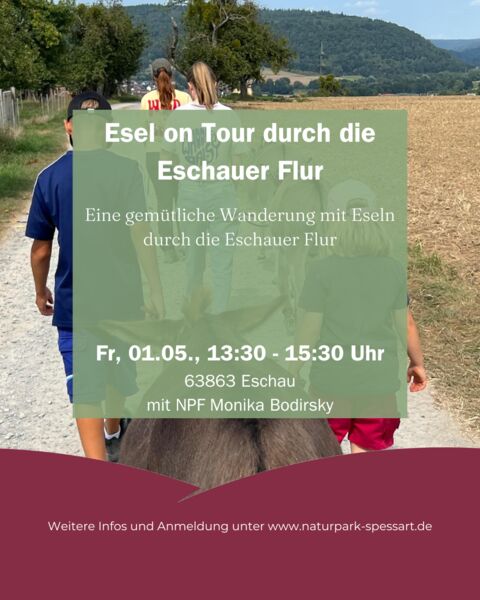 esel-on-tour-durch-die-eschauer-flur