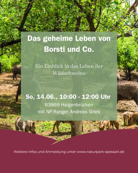 das-geheime-leben-von-borsti-und-co