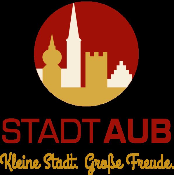 sitzung-des-stadtrates