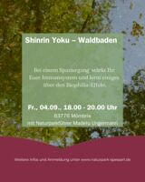 Shinrinyoku – Waldbaden