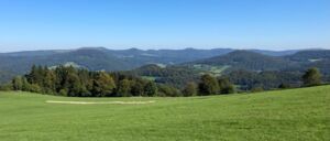 Naturerlebnisführung in das Naturschutzgebiet Schwarze Berge - Geführte Wanderung mit Ranger Leonard Helfrich