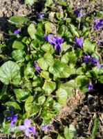 Schlossparkführung auf dem Schwanberg immer am 3. Sonntag im Monat