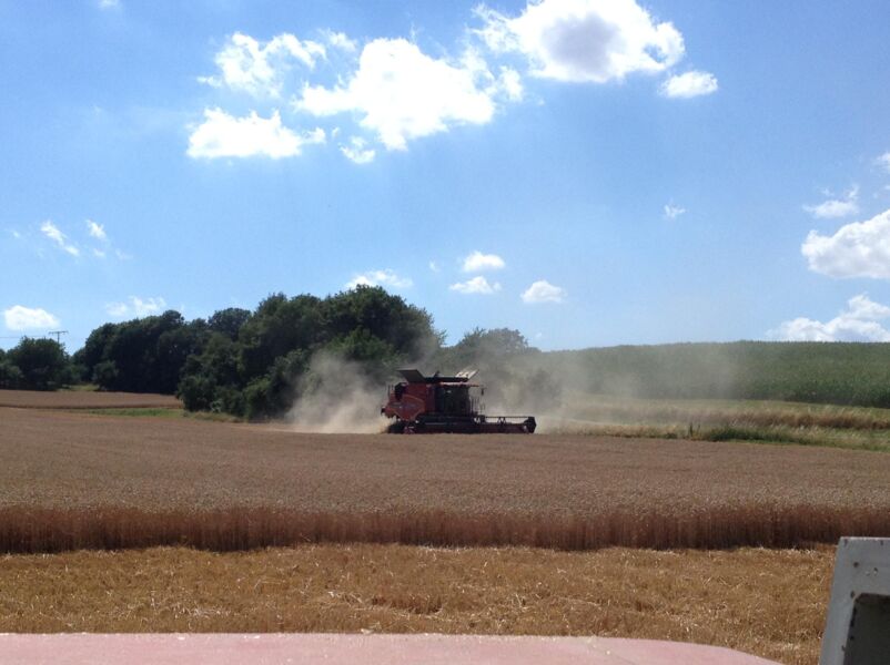 gemeinsam-die-zukunft-unserer-ernahrung-gestalten