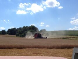 Gemeinsam die Zukunft unserer Ernährung gestalten.