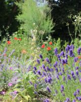 Vielfalt vor unserer Haustür – mit allen Sinnen genießen