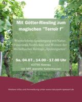 Mit Götter-Riesling zum magischen 