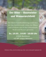 Der Biber – Baumeister und Wasserarchitekt