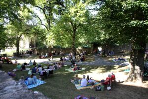 Picknick unter dem Sternenhimmel im Hofmannshain - Ein magischer Sommerabend