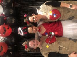 SteFaNa Faschingsball Marktsteft