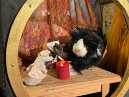 Zimtchen und kein Pfefferkuchen im Haus (ab 4 J.) es spielt: Ana Dyulgerova