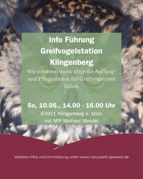 info-fuhrung-greifvogelstation-klingenberg