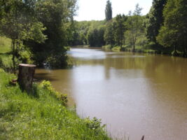 Hamicher Bänklesweg rund um Hambach