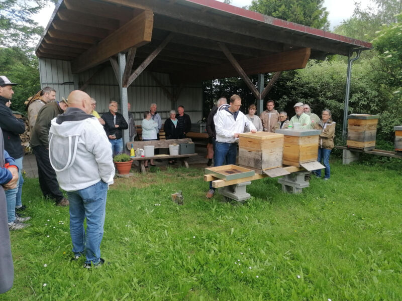 imkerkurs-fur-anfanger-bienenhaltung-im-jahreslauf