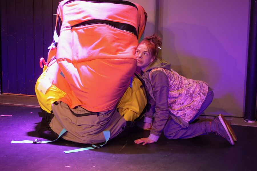 wie-der-wahnsinn-mir-die-welt-erklarte