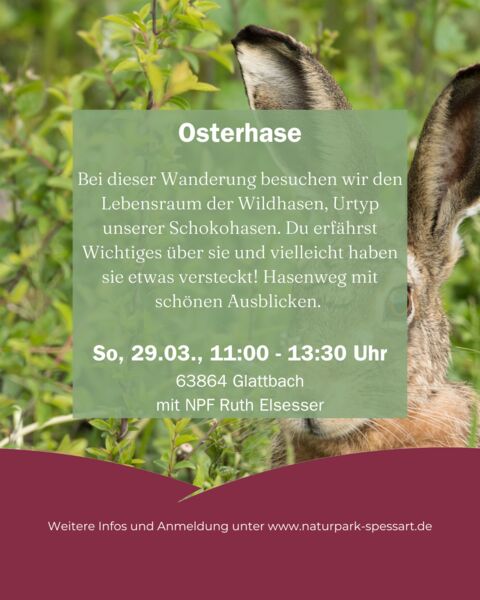 osterhase