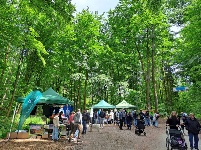 waldtag-2026-wald-und-wiesenschatze