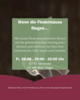 Wenn die Fledermäuse fliegen…
