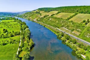 Wein am Sonnenschein: Spaziergang durch die Veitshöchheimer Weinberge