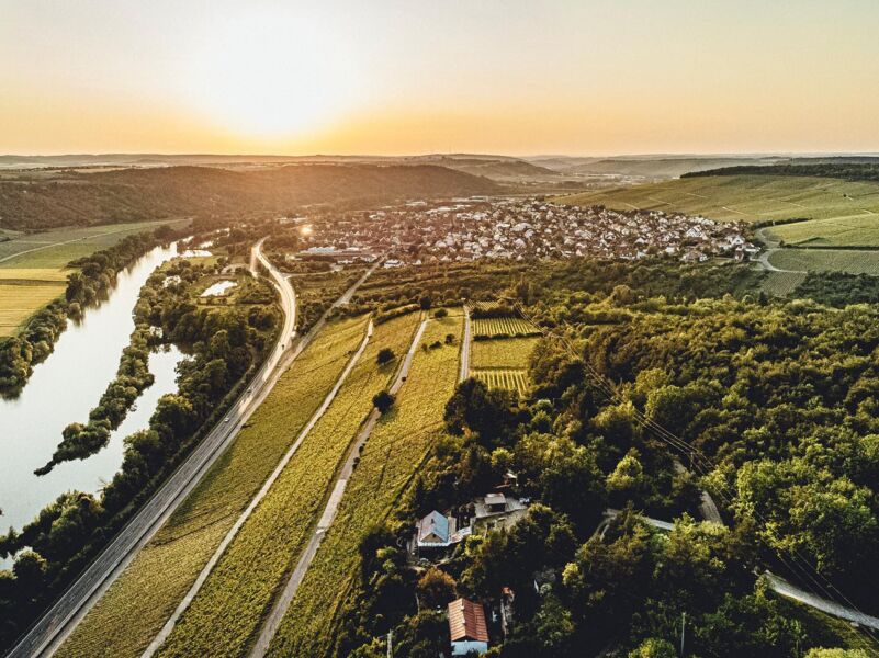weinbergswanderung-eibelstadt
