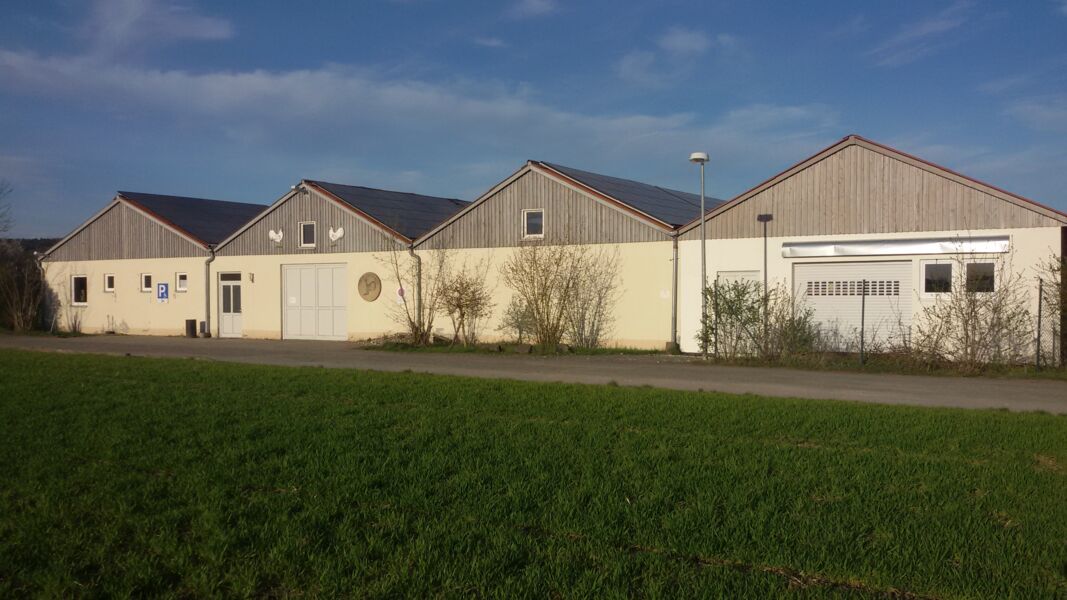 tauben-und-kleintiermarkt