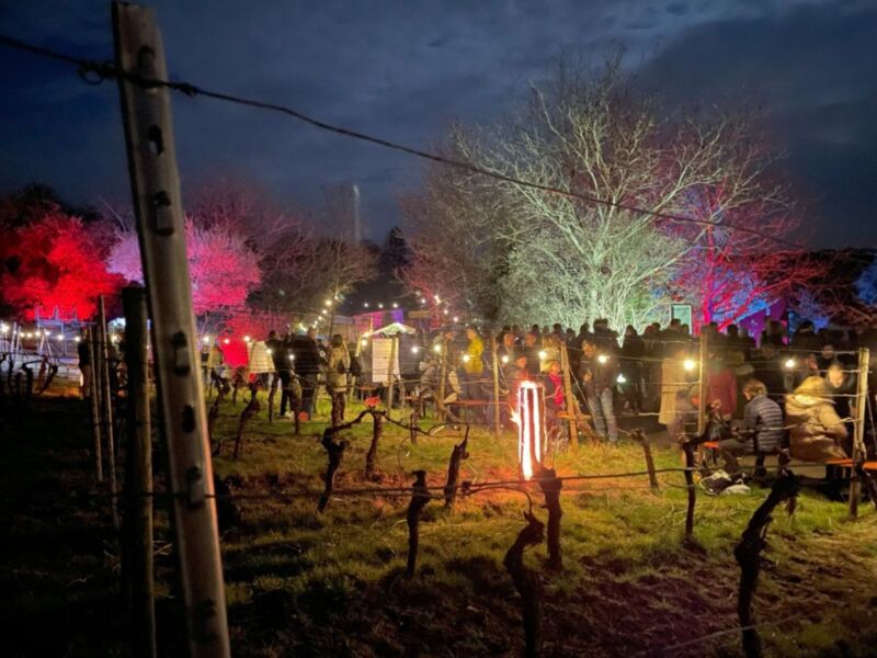 weinbergsleuchten-randersacker