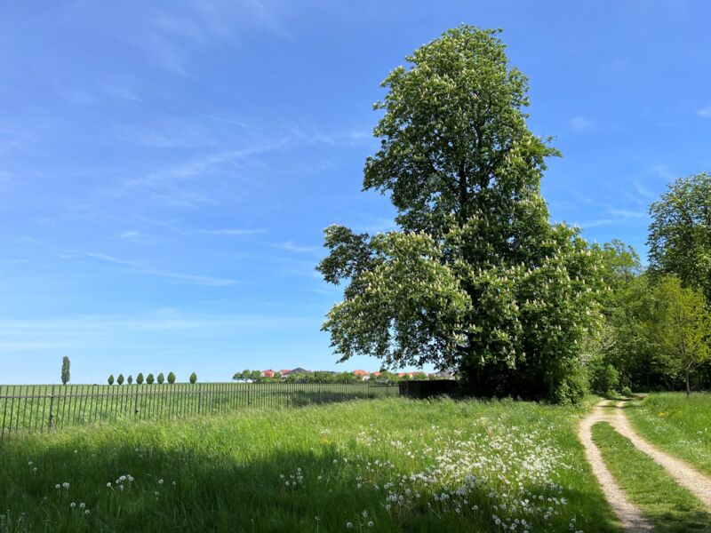 offentliche-schlossparkfuhrung