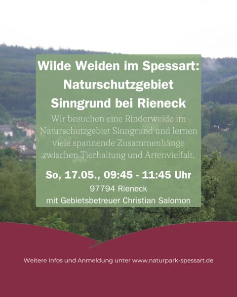 wilde-weiden-im-spessart-naturschutzgebiet-sinngrund-bei-rieneck