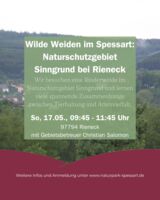 Wilde Weiden im Spessart: Naturschutzgebiet Sinngrund bei Rieneck