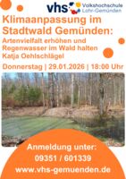 Klimaanpassung im Stadtwald Gemünden: Artenvielfalt erhöhen und Regenwasser im Wald halten