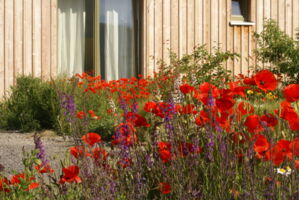 Vortrag zum Thema Vorgarten-Bepflanzung