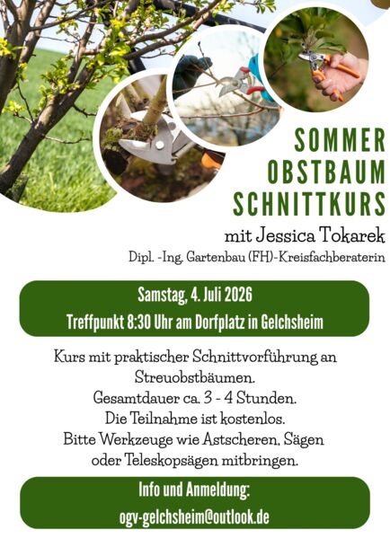sommer-obstbaum-schnittkurs-des-obst-und-gartenbauvereins-gelchsheim