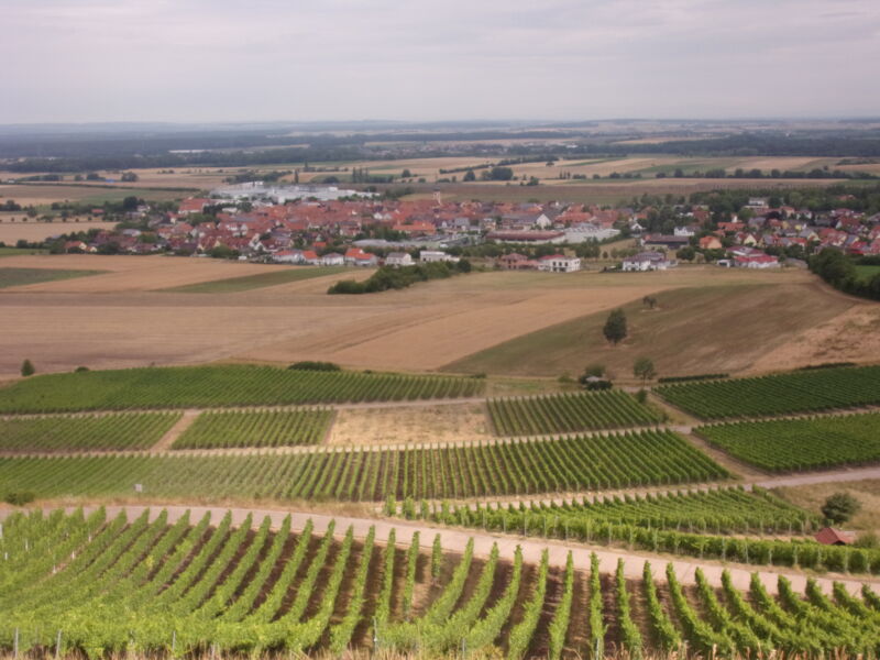 ganztagige-wanderung-mit-dem-steigerwaldklub-gerolzhofen-westlich-um-abtswind