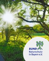 Grüne Inseln in der Stadt – Baumscheiben nachhaltig gestalten - Infoveranstaltung zur ökologischen Bepflanzung rund um Straßenbäume - Zukunftswoche Mainfranken