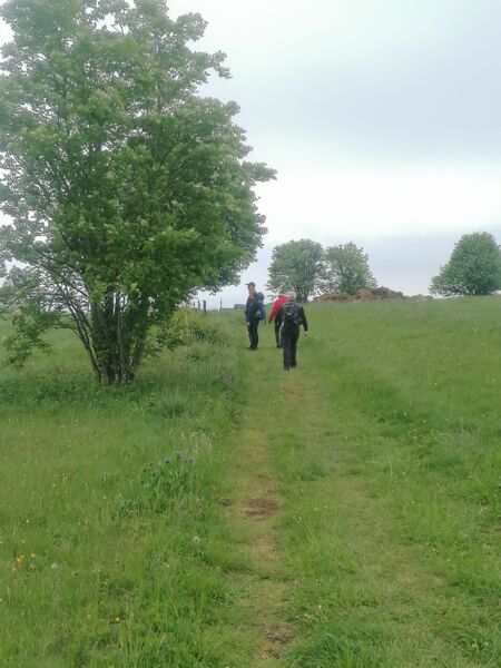 english-hiking-day-rhon