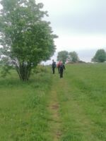 English Hiking Day Rhön