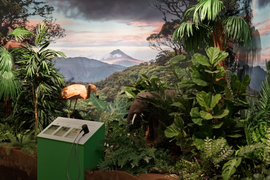 25-jahre-biospharen-infozentrum-haus-der-langen-rhon