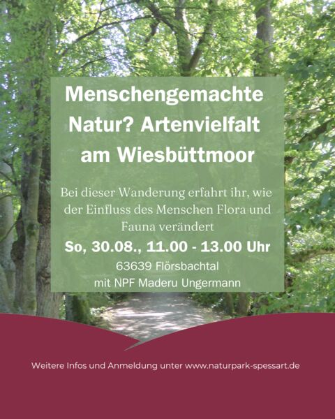 menschengemachte-natur-artenvielfalt-am-wiesbuttmoor