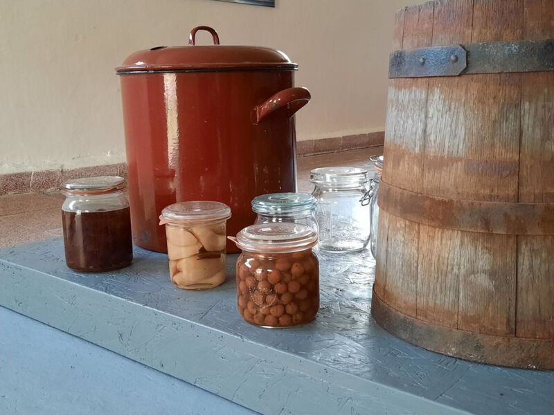 themenfuhrung-ganz-frisch-vorratshaltung-fruher