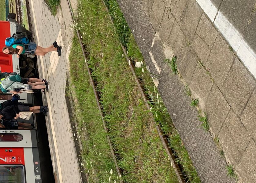 cvjm-jugendfreizeit-train-trip