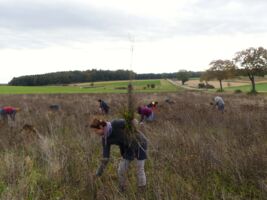Kulturlandschaft mit anderen Augen sehen – Zweiter Naturfloristikkurs in Eußenheim