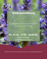 Wildkräuterführung