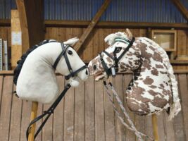 Hobby Horsing - Vom Steckenpferd zum Trendsport