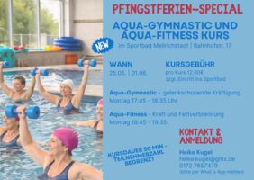 Aqua-Fitness Kurs