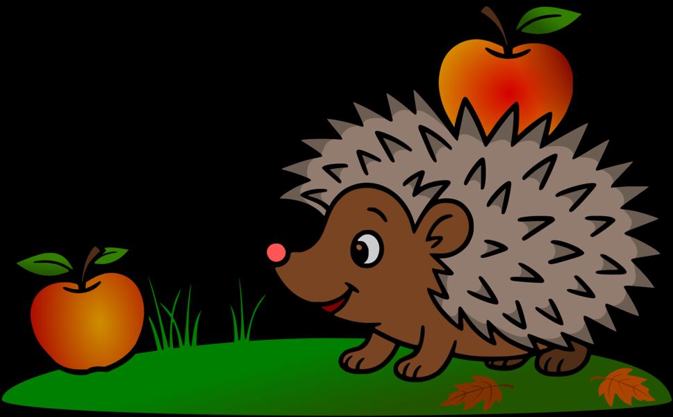der-igel-raschelbein