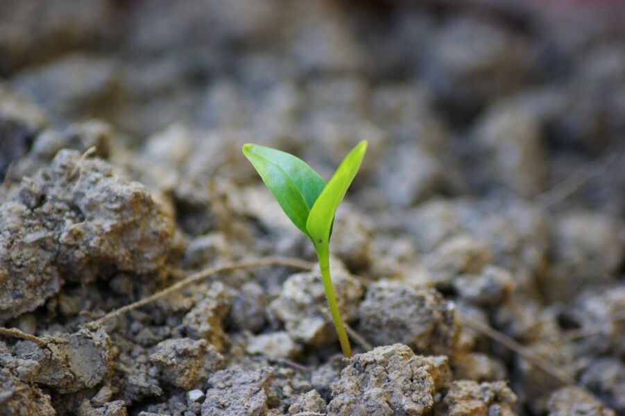 resilienz-und-selbstfursorge-mich-und-meine-krafte-starken